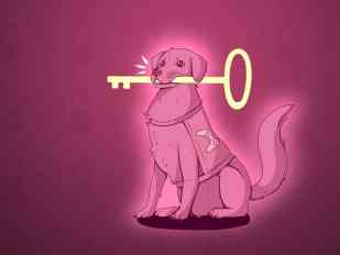It's dangerous to go alone; take this. Image courtesy of Accessibility Unlocked.