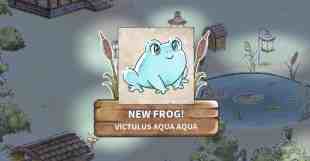 kamaeru a frog refuge review