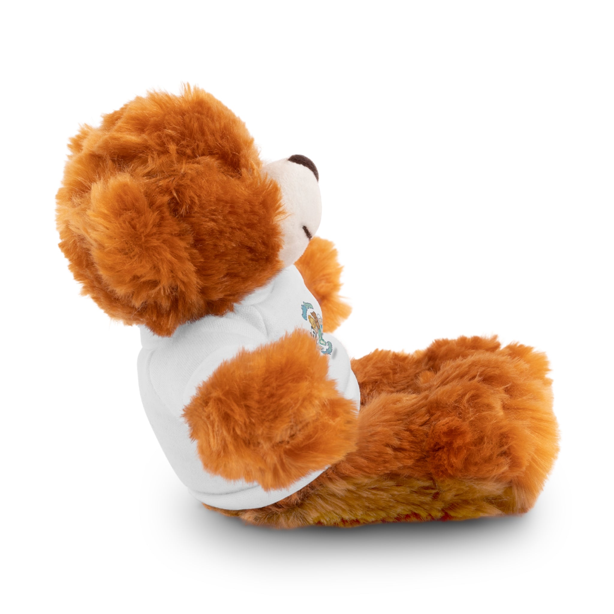 Plush Bear with Printed Tee — Cute Custom Teddy Gift